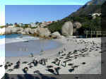 Capetown 0008_163.JPG (205467 bytes)