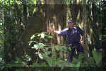 407_Ecuador_Jungle_Walk_Me_and_Tree_01.jpg (60106 bytes)