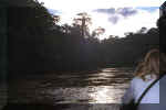 436_Ecuador_Jungle_Canoe_Ride_07.jpg (34091 bytes)