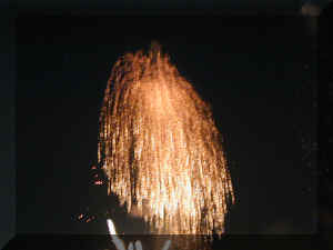 Fireworks NY 0007_030.JPG (207777 bytes)