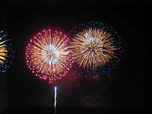 Fireworks NY 0007_094.JPG (208761 bytes)
