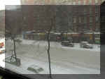 Long Island Winter 0001 Snow 004.JPG (57288 bytes)